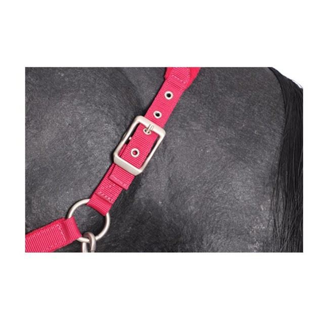 Design Horse Halters With Customized Logo
